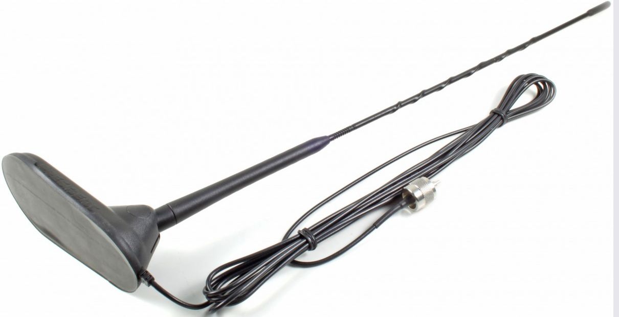 Virginia NEW President